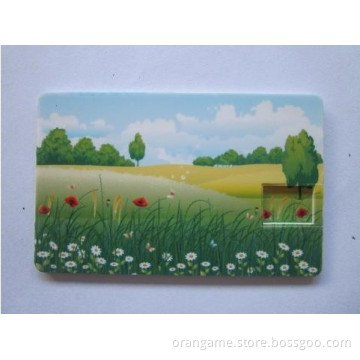 OEM USB Business Credit Card, USB Card, Card USB Flash Drive
